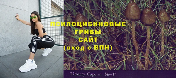 дмт Зеленокумск