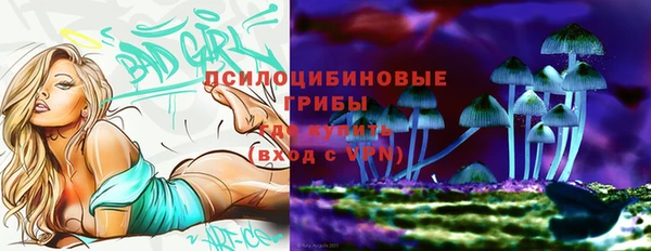 скорость Зеленодольск